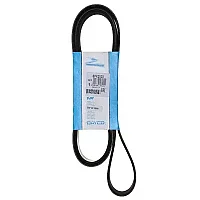 6Pk2020 Dayco Drive Belt