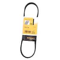 5Pk736 Contitech Drive Belt