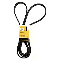 7Dpk2950 Contitech Drive Belt