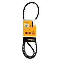 10X1175 Contitech Drive Belt