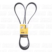 7Pk2275 Dayco Drive Belt