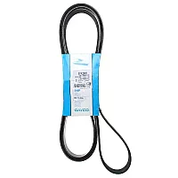 6Pk2465 Dayco Drive Belt