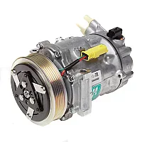 Mahle Ac Comp Citroen C4 04 Peugeot 307 00