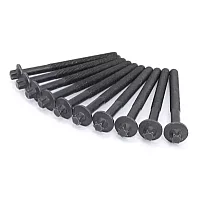 Elring Head Bolt Set 1.4 and 1.6 16V Clio Ii Meg Lag Scenic