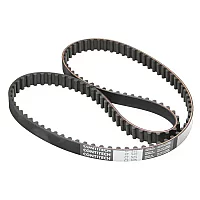Dayco Cam Belt Bx 1619405 Petrol 113 Teeth