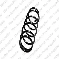 Sachs Coil Spring Rear Suzuki Alto 602